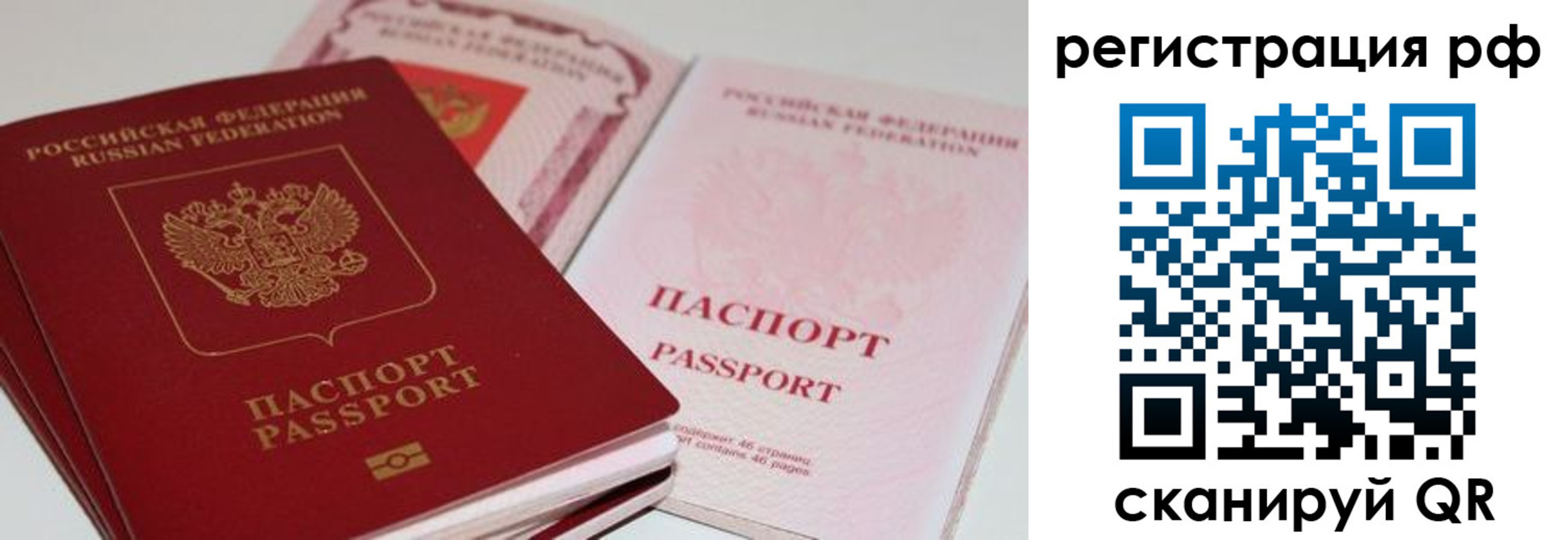 пропишу в квартире в Видном